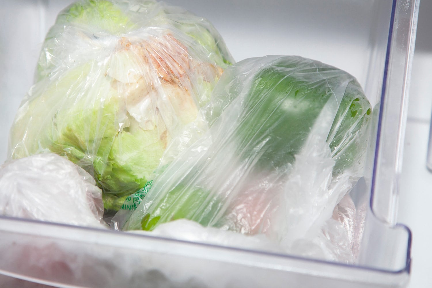 卷心莴苣、洋葱、西红柿和甜椒装在蔬菜袋里，放在保鲜盒里