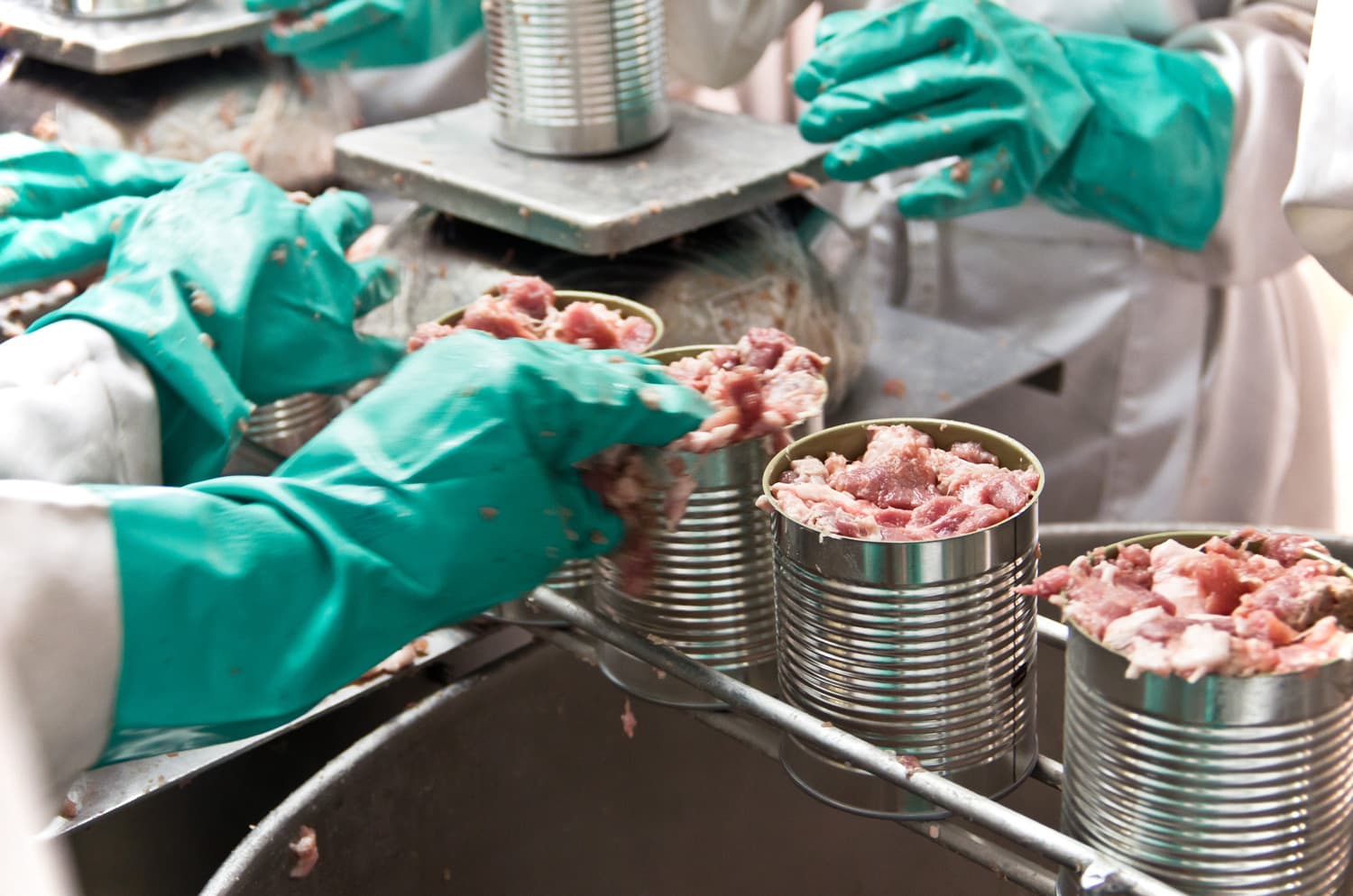 猪肉在手工食品生产线上准备装罐。
