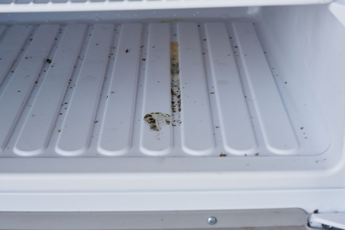 冰箱底部积聚的霉菌