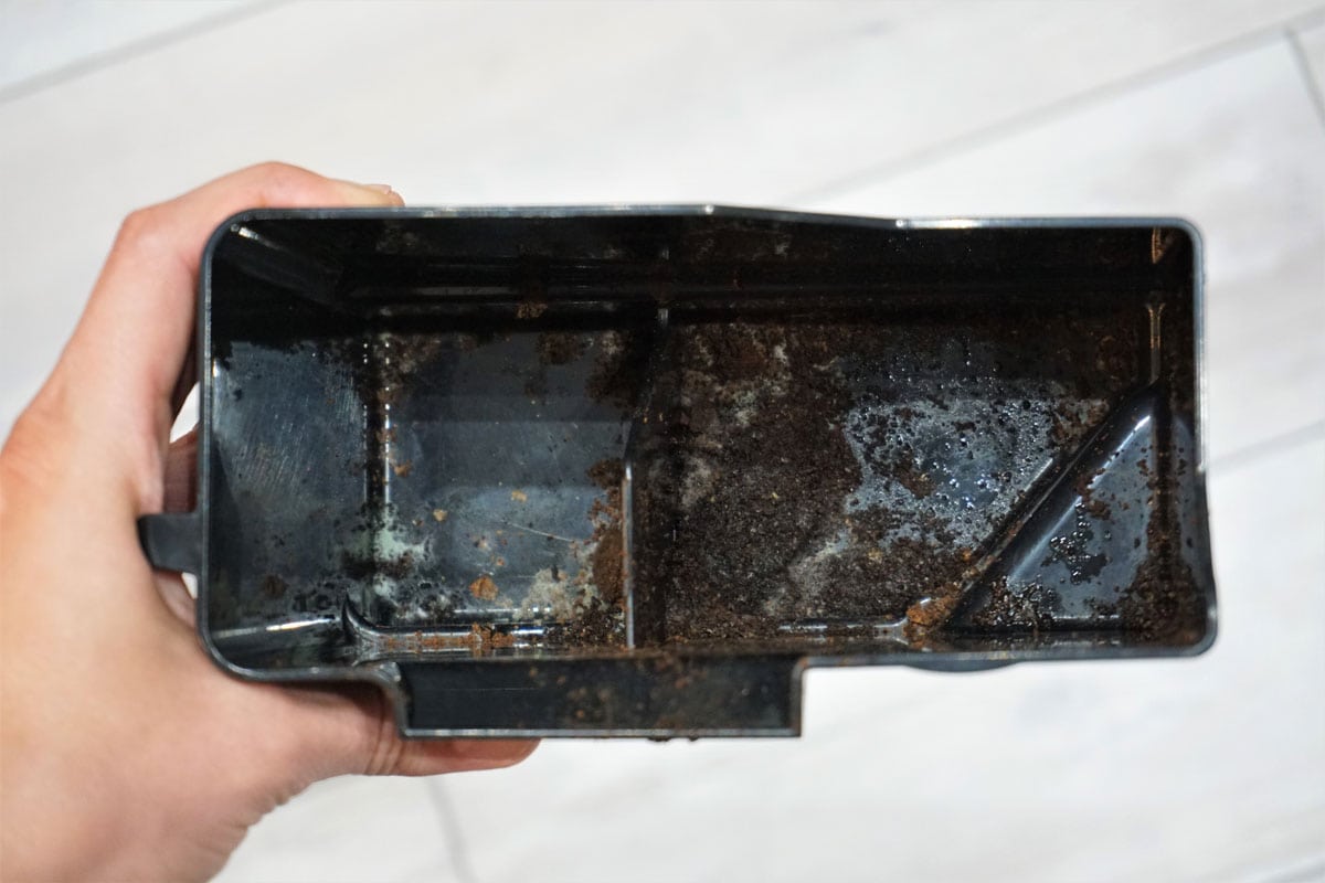 moldy coffee residue in a coffee grounds container from a pressure espresso machine