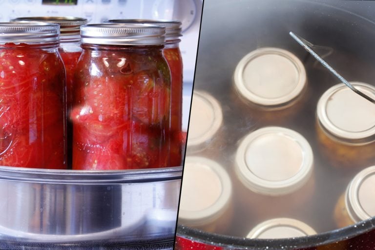 比较berween蒸气浴罐头,罐头和水蒸汽Vs水浴罐头:哪个更好?