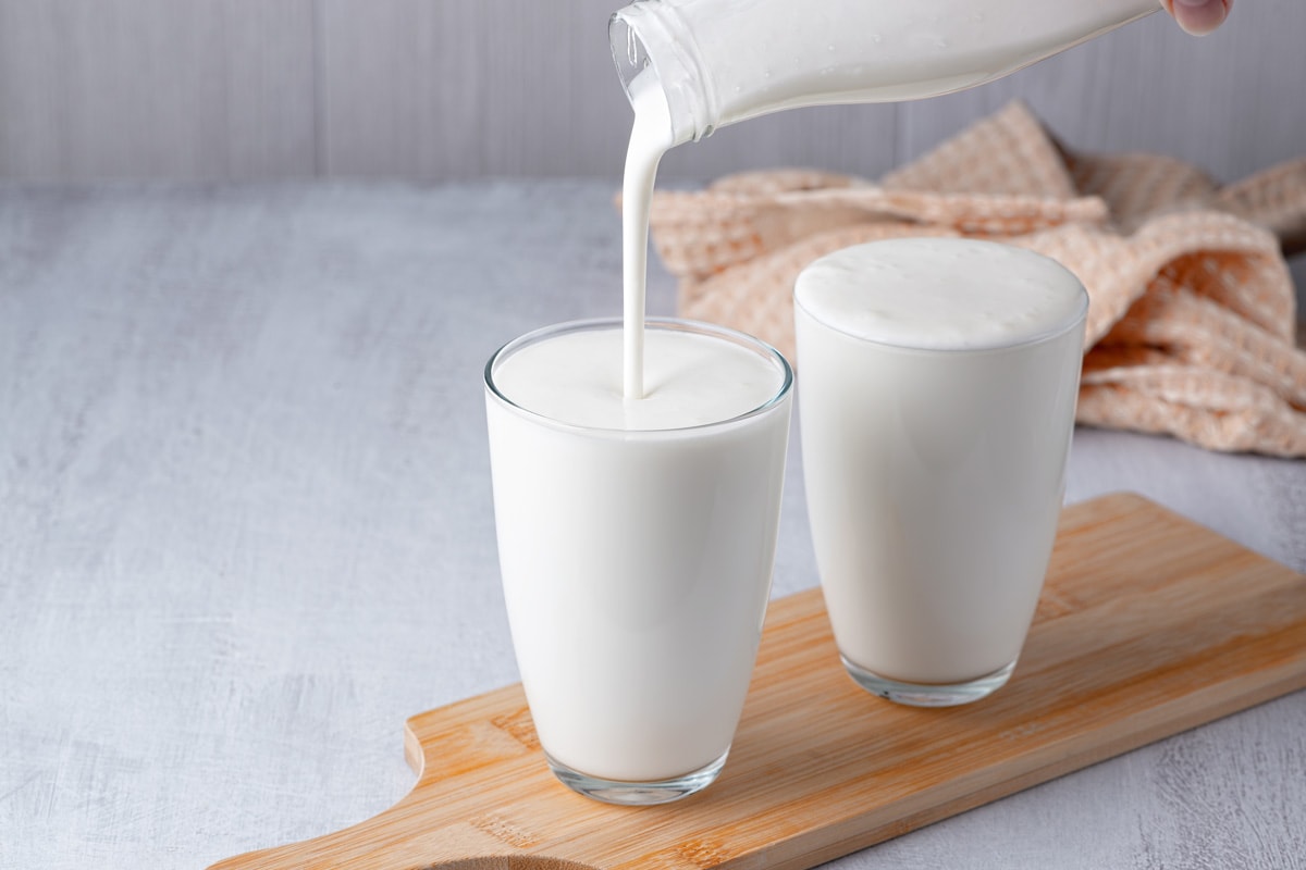 白脱牛奶或酸奶和益生菌