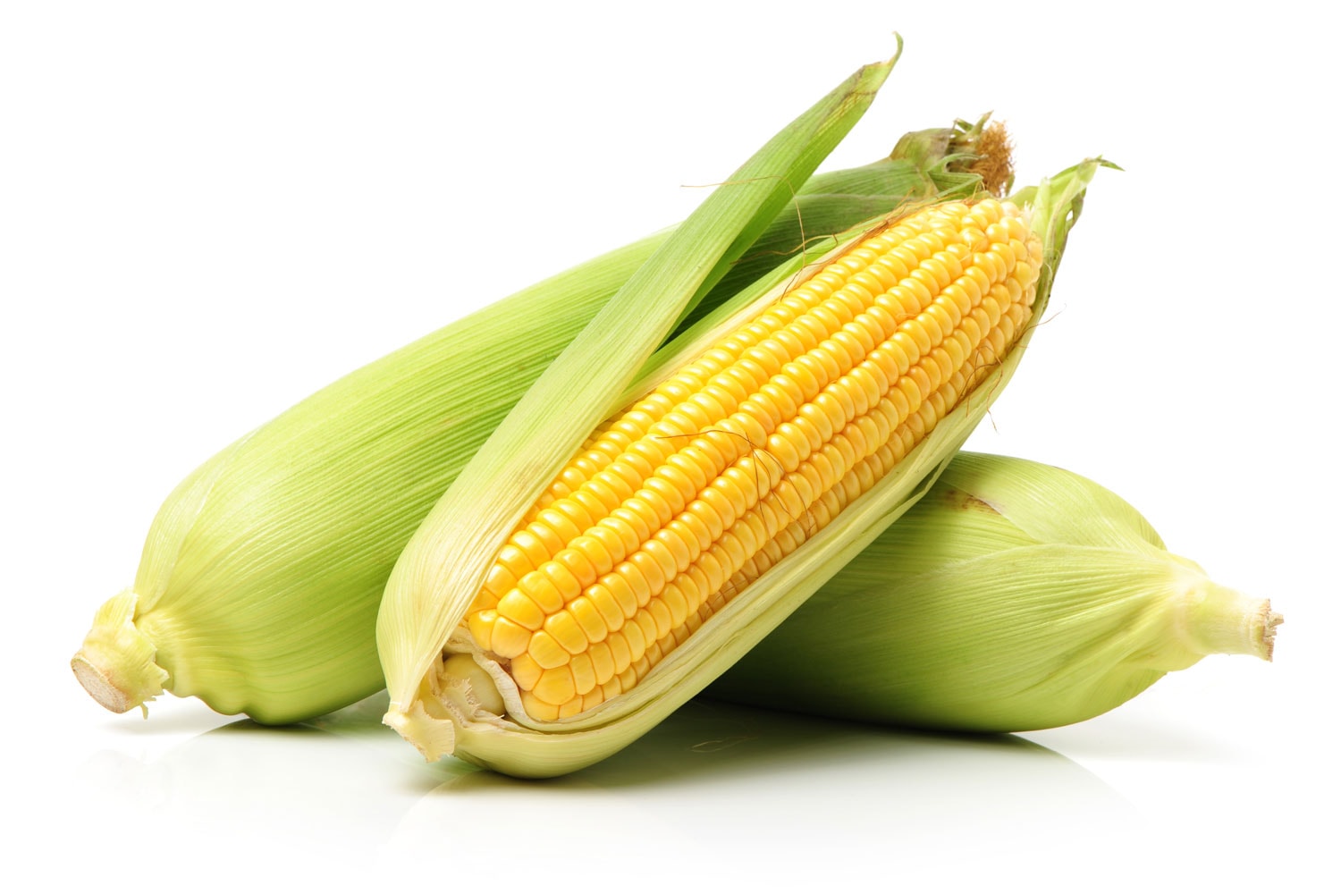 玉米在白色背景