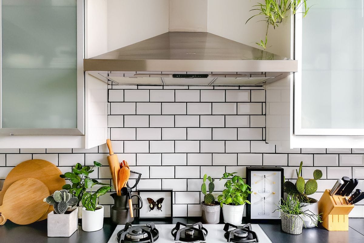 黑色和白色的地铁瓷砖厨房有许多植物和昆虫标本艺术bd手机下载