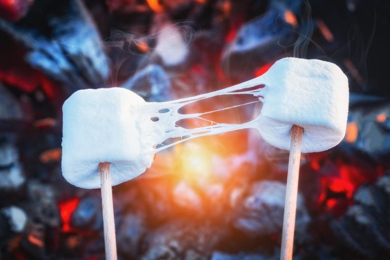 两个弹性棉花糖在火烤。棉花糖串烤炭,世界上最大的棉花糖